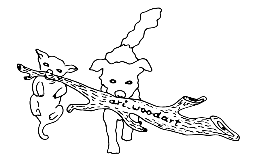 ariwoodart